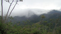 Cerro Negro