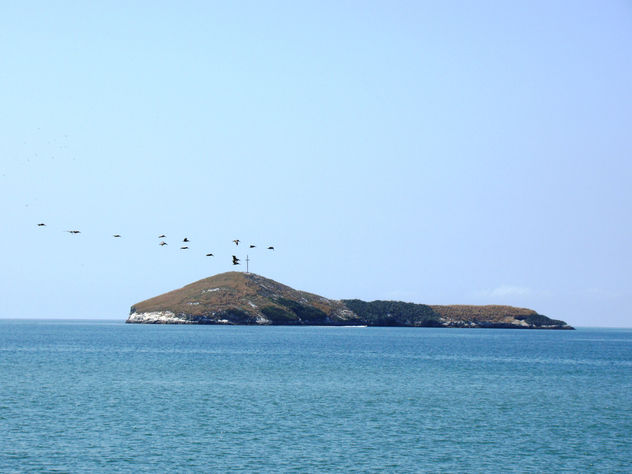 Farallón