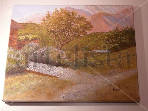 atardecer Oil Canvas Landscaping