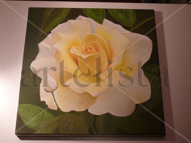 Rosa de abril Oil Canvas Floral Painting