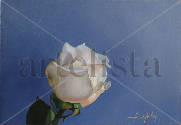 Rosa Oil Canvas Still Life Paintings