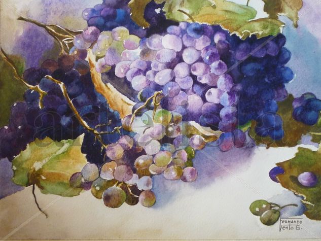 Uvas de San Juan Watercolour Card Still Life Paintings