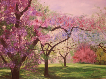 Cerezos japoneses
