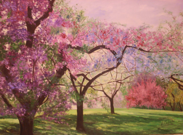 Cerezos japoneses Óleo Lienzo Paisaje