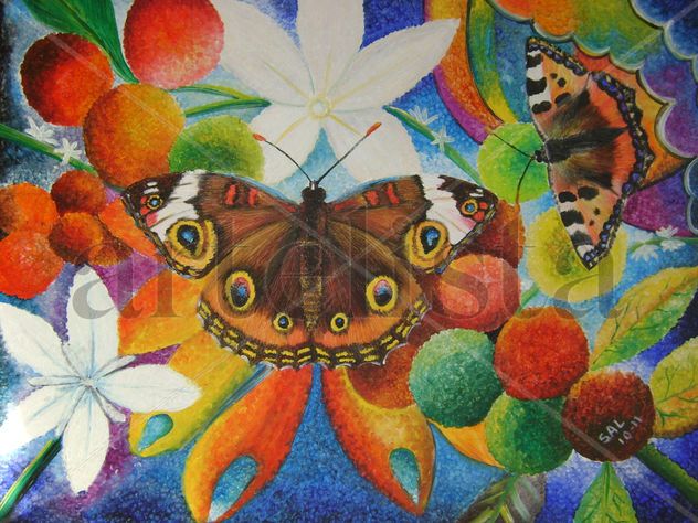 Vuelos de colores