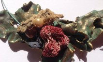 EL PAS DEL TEMPS