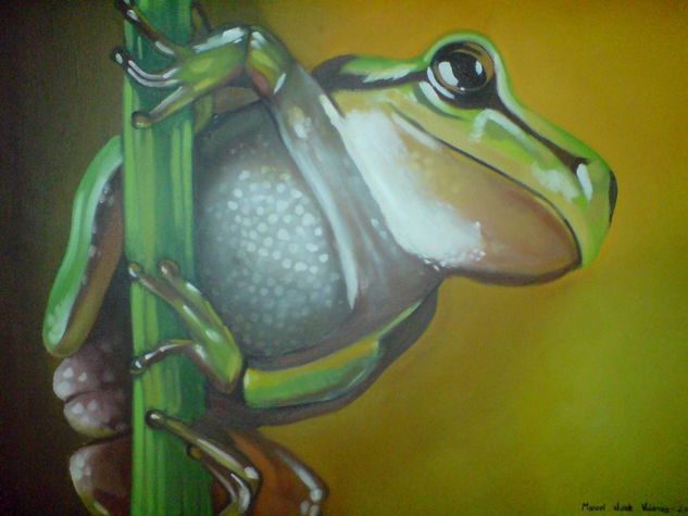 RANA Oil Canvas Animals