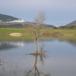 Photobook thumbnail 2