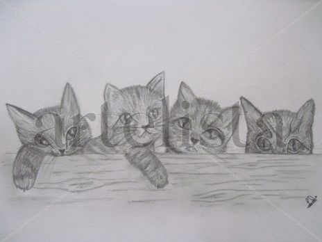 Four Cats.