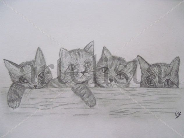 Four Cats.