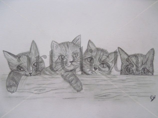 Four Cats. Graphite