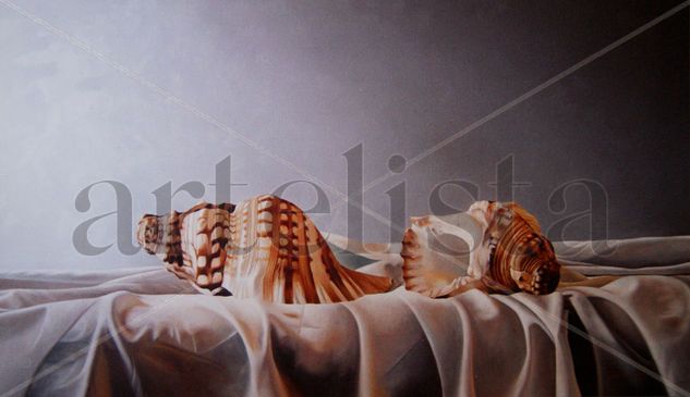 Caracolas Oil Canvas Still Life Paintings