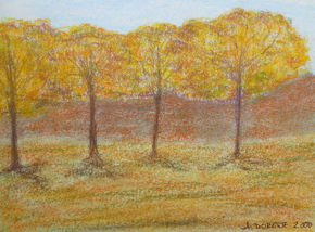 Otoño en calma