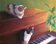 gatos sobre el piano