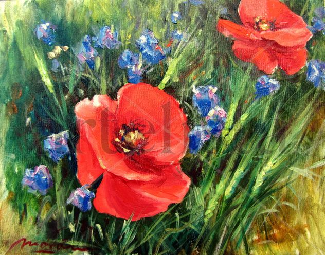 Amapolas