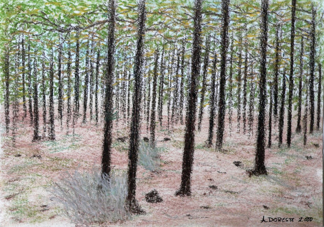 Pinar de Tamadaba Pastel Paper Landscaping