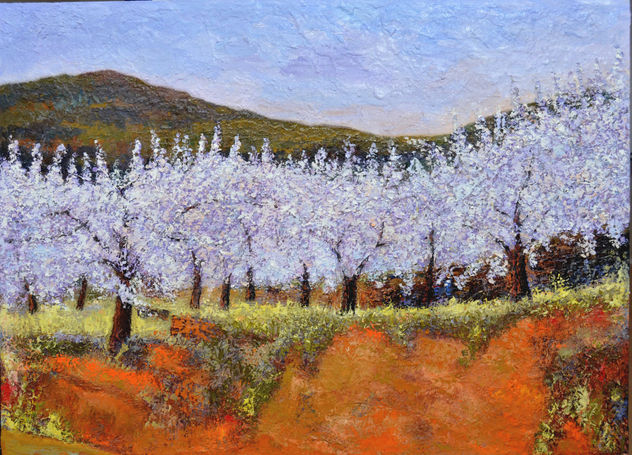 VALLE DEL JERTE