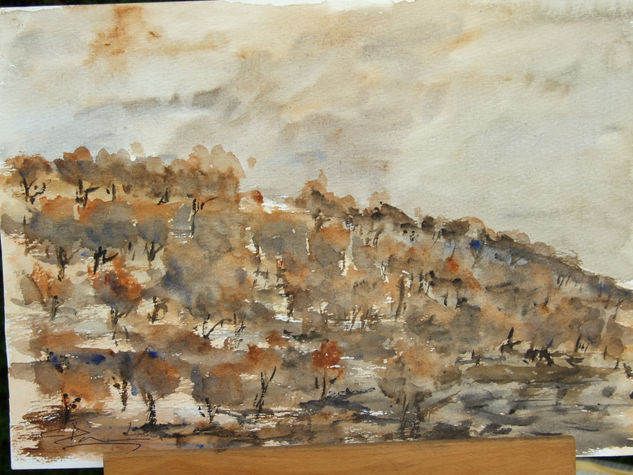 almendros Watercolour Paper Landscaping