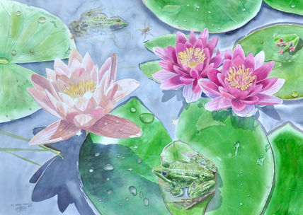 lilias de Agua con...