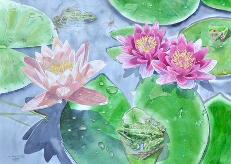 lilias de Agua con...
