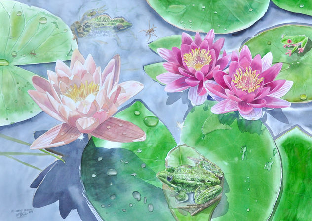 lilias de Agua con Sapos