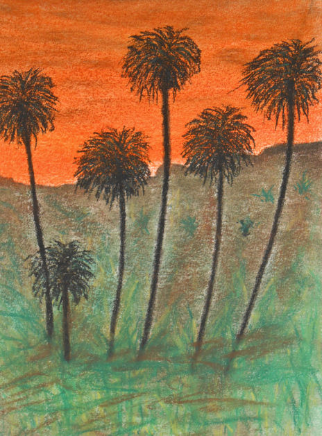 Palmeras al atardecer
