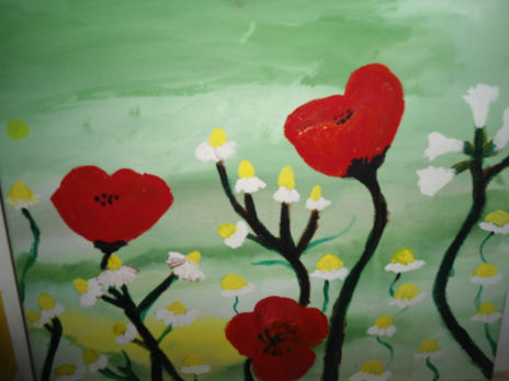 Amapolas