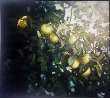 Limones en arbol