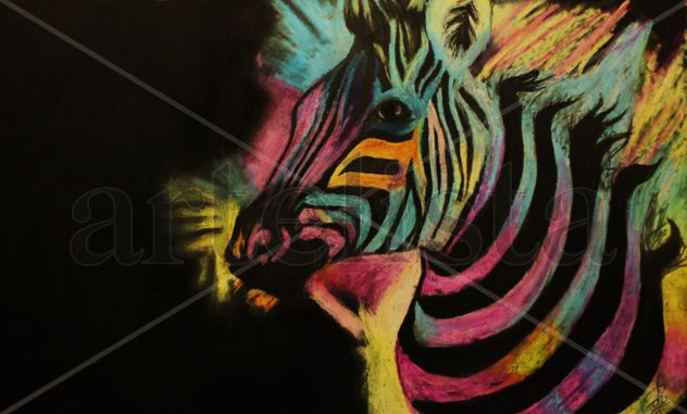 Colours of Africa- Zebra