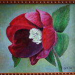 Flores y setas thumbnail 1