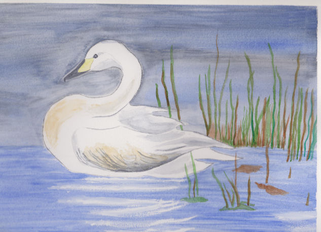 Swan Watercolour Paper Landscaping