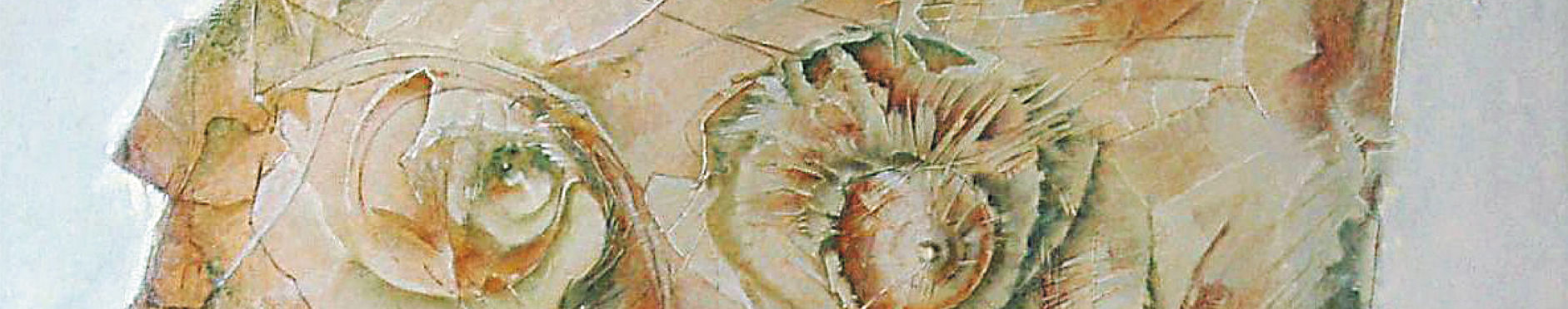 Imagen de portada