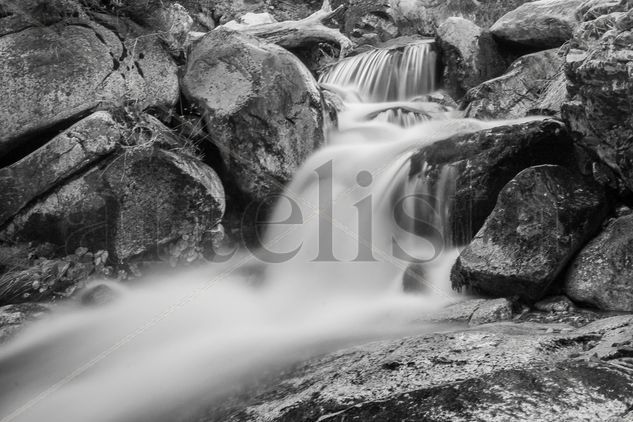 Agua en B&N Nature Black and White (Digital)