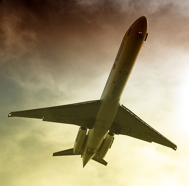Avión suspendido en el aire
