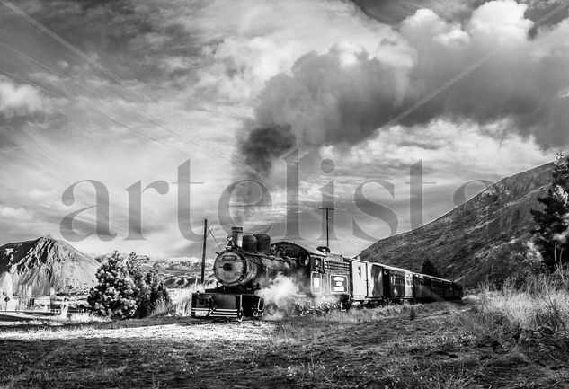 La Trochita B&N Nature Black and White (Digital)