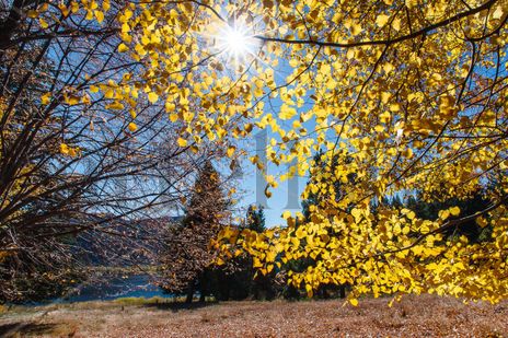 Otoño