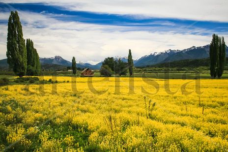 Primavera