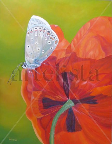 Mariposa, oleo sobre tela, 90×70 cm Óleo Tela Floral