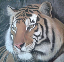 Tigre a pastel