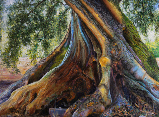 Tronco de olivo nº 3 / Olive tree trunk nº 3 Oil Canvas Landscaping