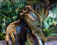 Tronco de olivo nº 2 / Olive tree trunk nº 2