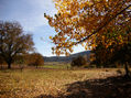 Campo en otoño