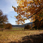 Mi colorido otoño thumbnail 2