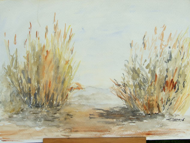 cañas Watercolour Paper Landscaping