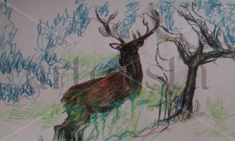 Dibujos