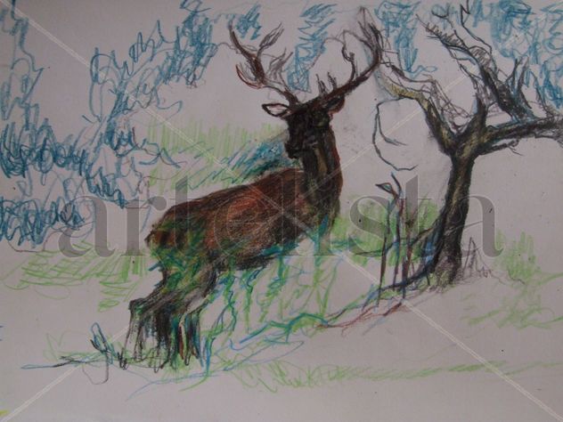 Venado alerta