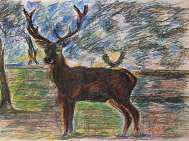 venado al atardecer Pencil