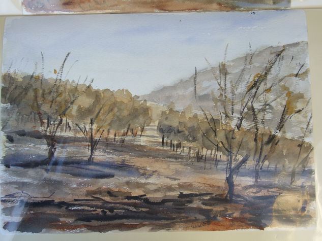 sombras en latarde Watercolour Paper Landscaping