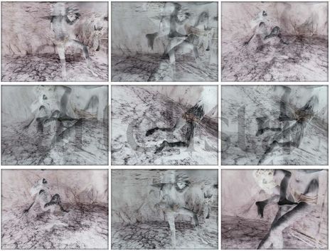 9phot