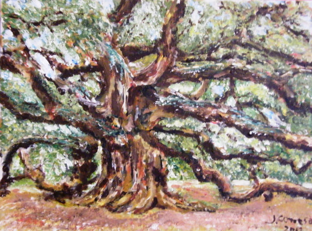 Angel Oak Acrylic Canvas Landscaping